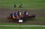 20060813 0008 chevaux marche concours saignelegier