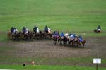 20060813 0011 chevaux marche concours saignelegier