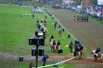 20060813 0060 chevaux marche concours saignelegier