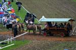 20060813 0065 chevaux marche concours saignelegier