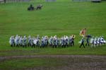 20060813 0076 chevaux marche concours saignelegier