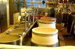 20061026 0032 affoltern emmental fromage pressage affinage