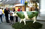 20061027 0046 huttwil swiss cheese award fromage emmental
