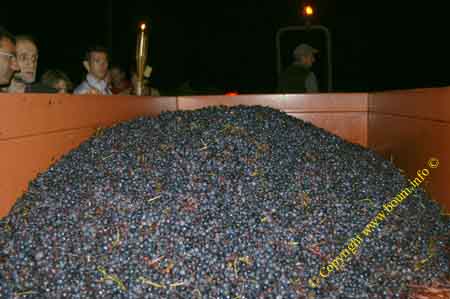 20060927 0073 bordeaux cotes blaye chateau grillet beausejour vendanges raisins nuit