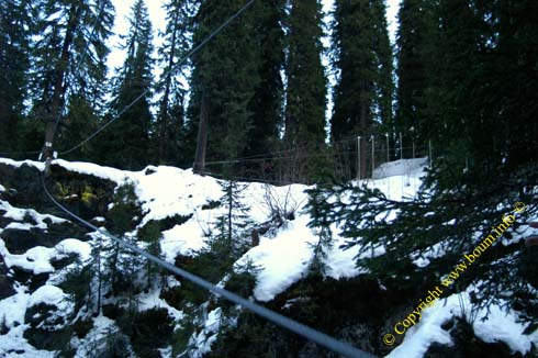 20070110 0055 val arly mont blanc parcours arbres pont escaladventure