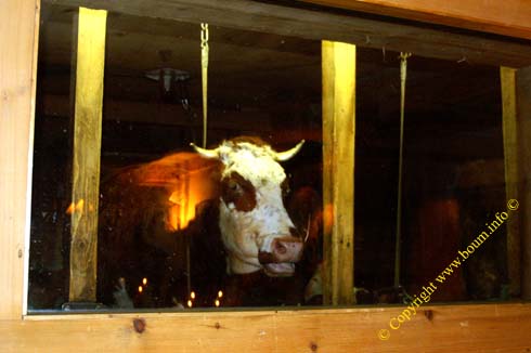 20070110 0097 val arly mont blanc restaurant ferme victorine vache