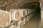20070316 0009 decouvertes vallee rhone cave visan vin tonneaux